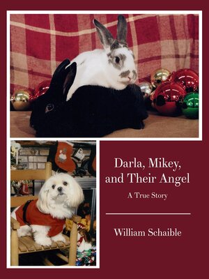 cover image of Darla, Mikey, and Their Angel